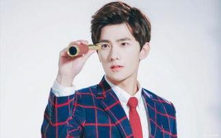 杨咩咩,探寻乡村生活的魅力与智慧