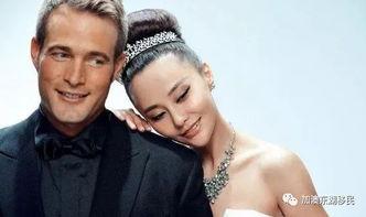 明星移民澳洲,明星纷纷移民澳洲，探寻新生活篇章