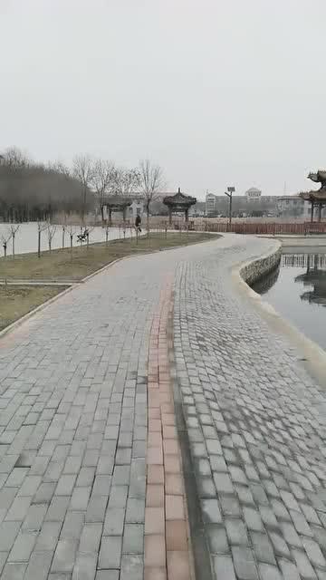 公园的搞笑短视频,搞笑短视频集锦，笑出腹肌的欢乐时光