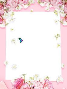 春夏元素背景,夏韵冬藏——四季元素交织的岁月画卷